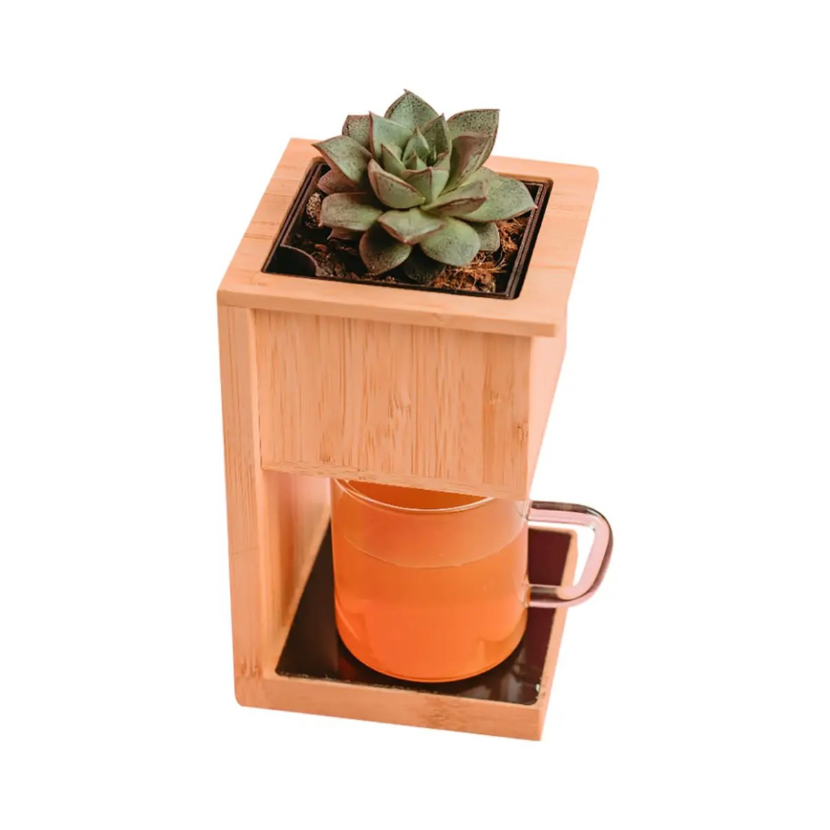 Alder Wireless Charger with Planter - Screenshot 3 preview