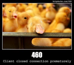 HTTP Status Ducks API gallery image