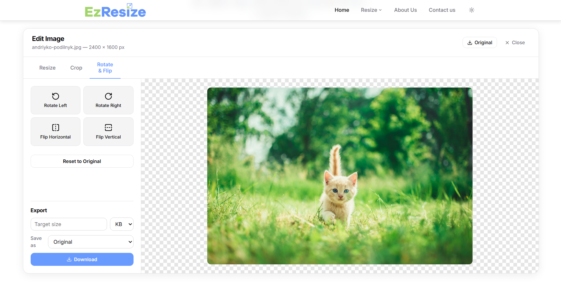 Free Image Resizer Online gallery image