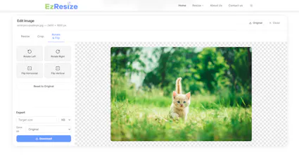 Free Image Resizer Online gallery image