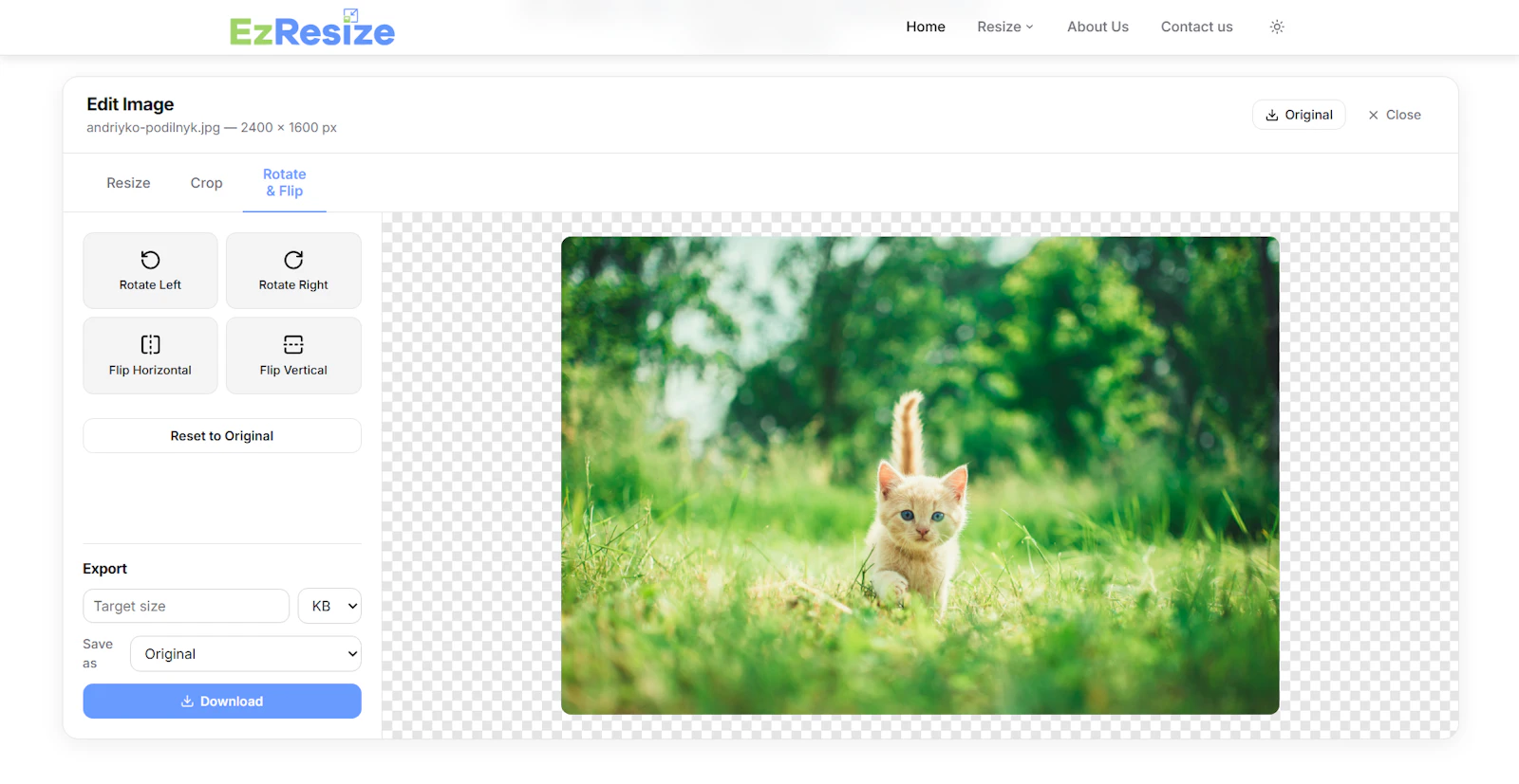 Free Image Resizer Online screenshot 5