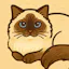 Tadaima