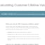 Customer Lifetime Value