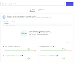 PageSpeed Insights gallery image