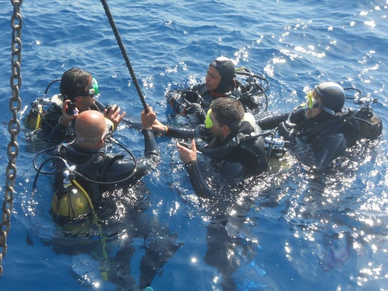 Aktivido gallery image