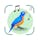 Bird Sounds Identifier Call ID