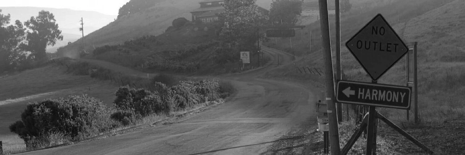 Remkus de Vries cover