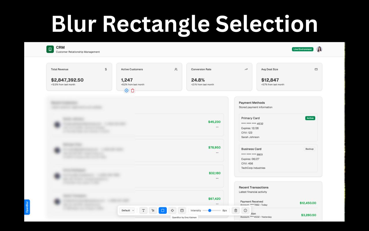 Openblur - Ekran kaydı sırasında Ücretsiz Hassas Bilgiler Çıkarın medya 5