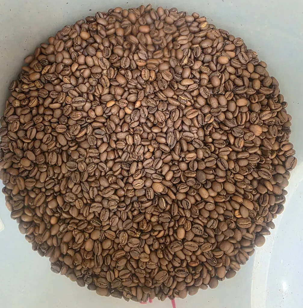Armadillo Coffee Roasters gallery image