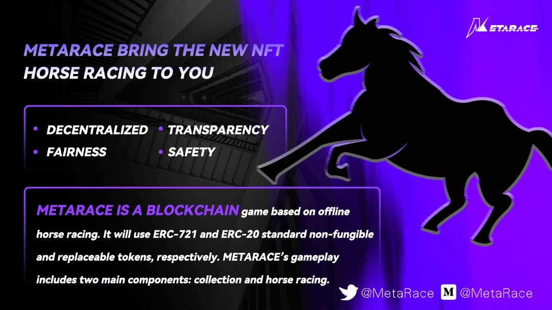 MetaRace gallery image