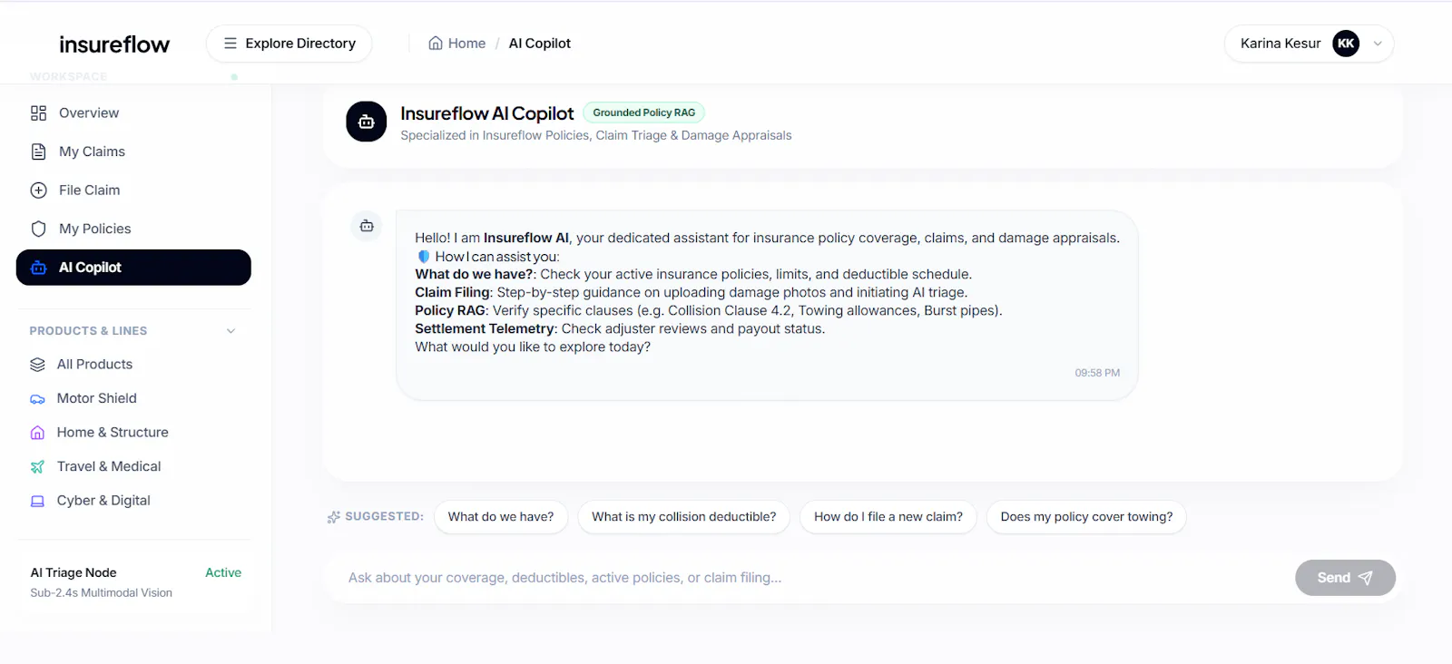 InsureFlow screenshot 4