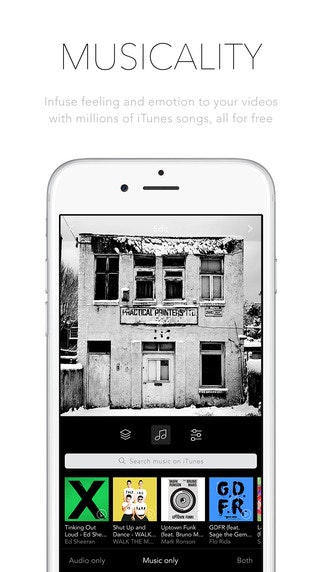 vibbidi gallery image