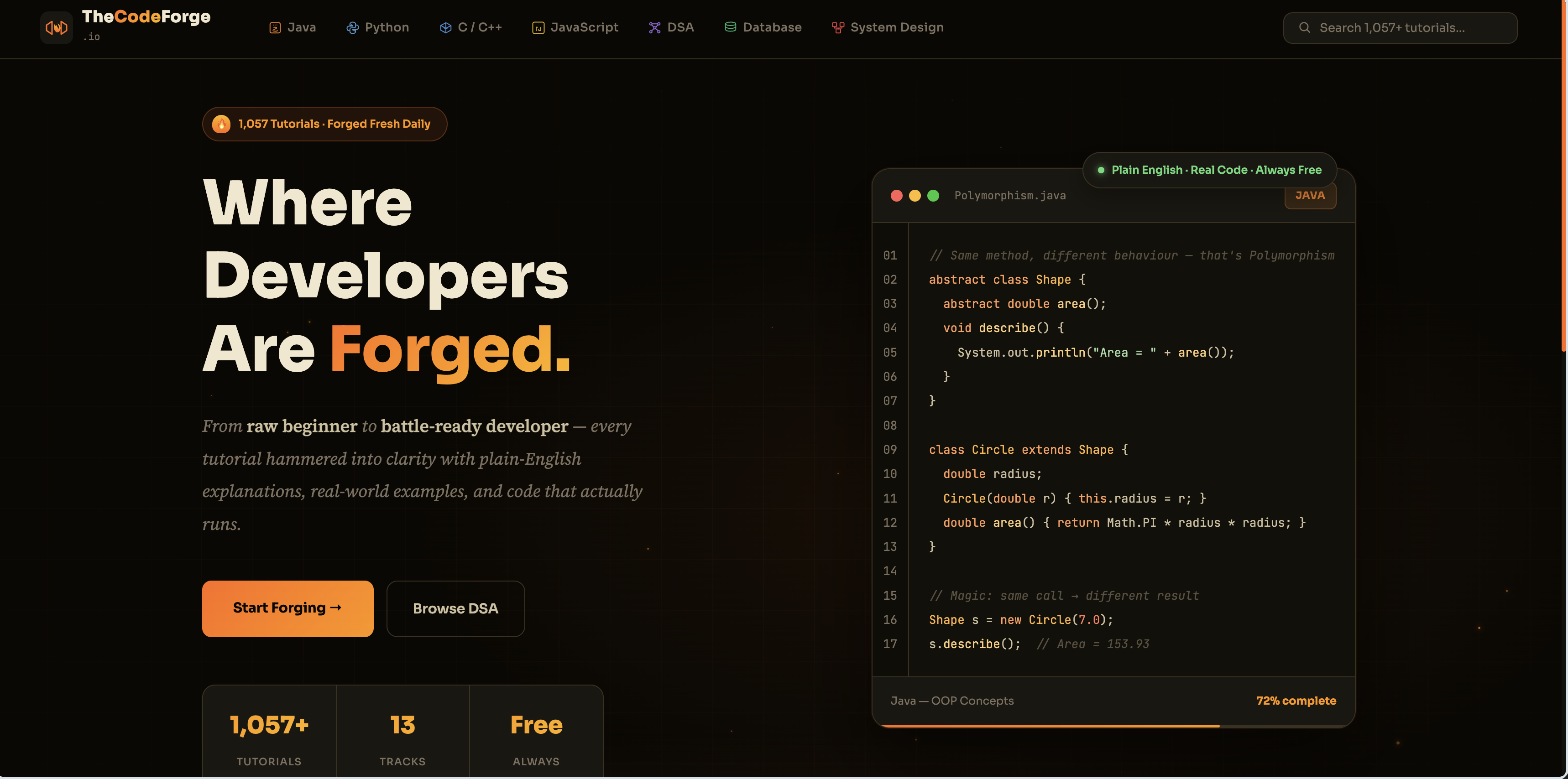 TheCodeForge-Where Developers Are Forged media 1