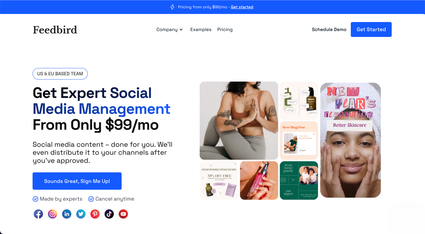 Feedbird gallery image