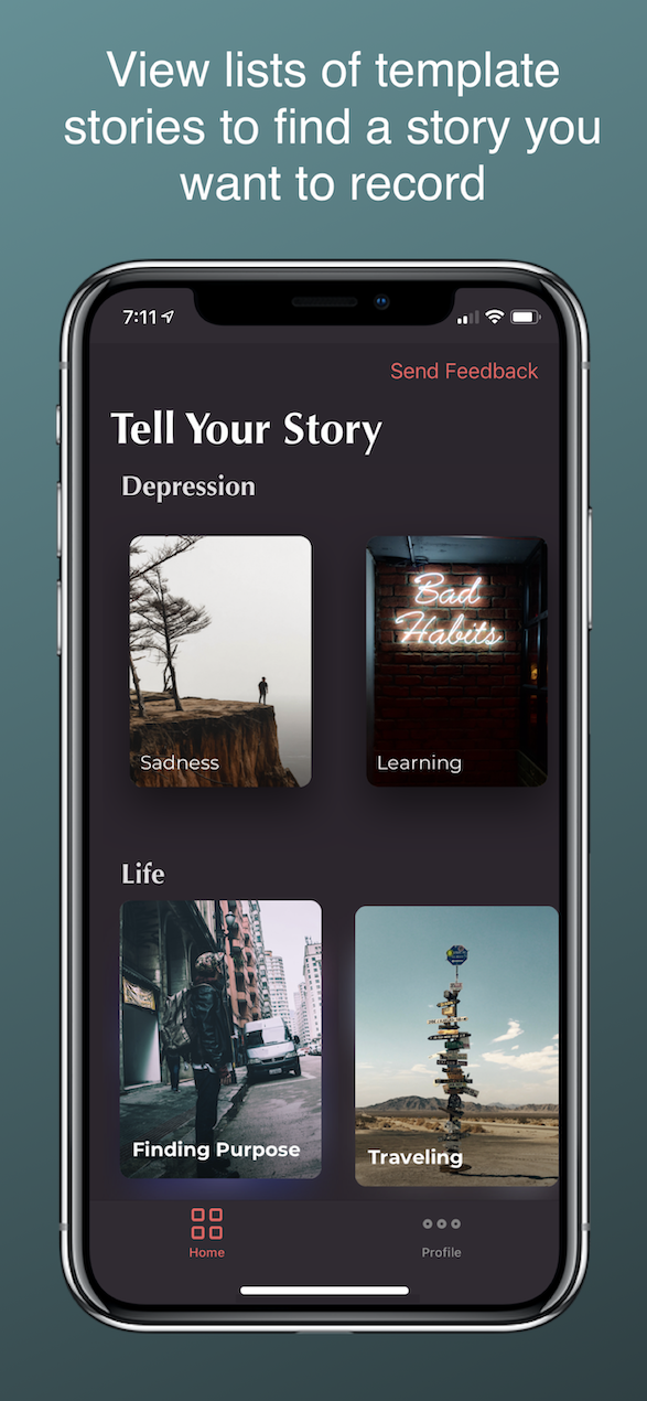 Lionheart gallery image