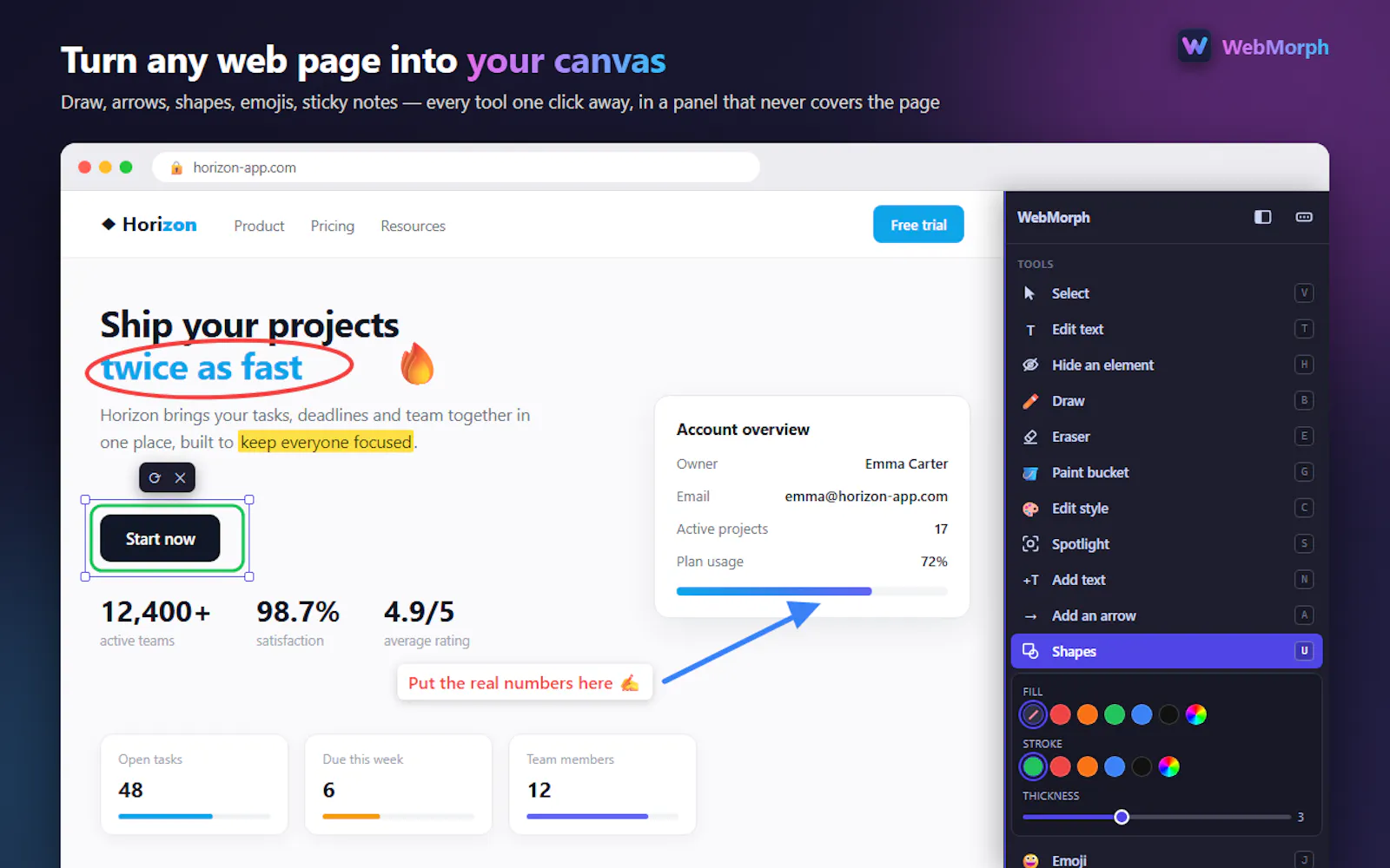 WebMorph screenshot 1