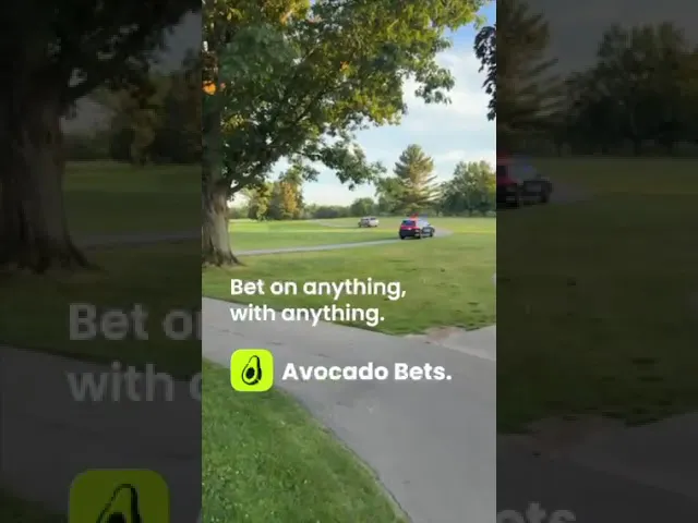 Avocado Bets gallery image