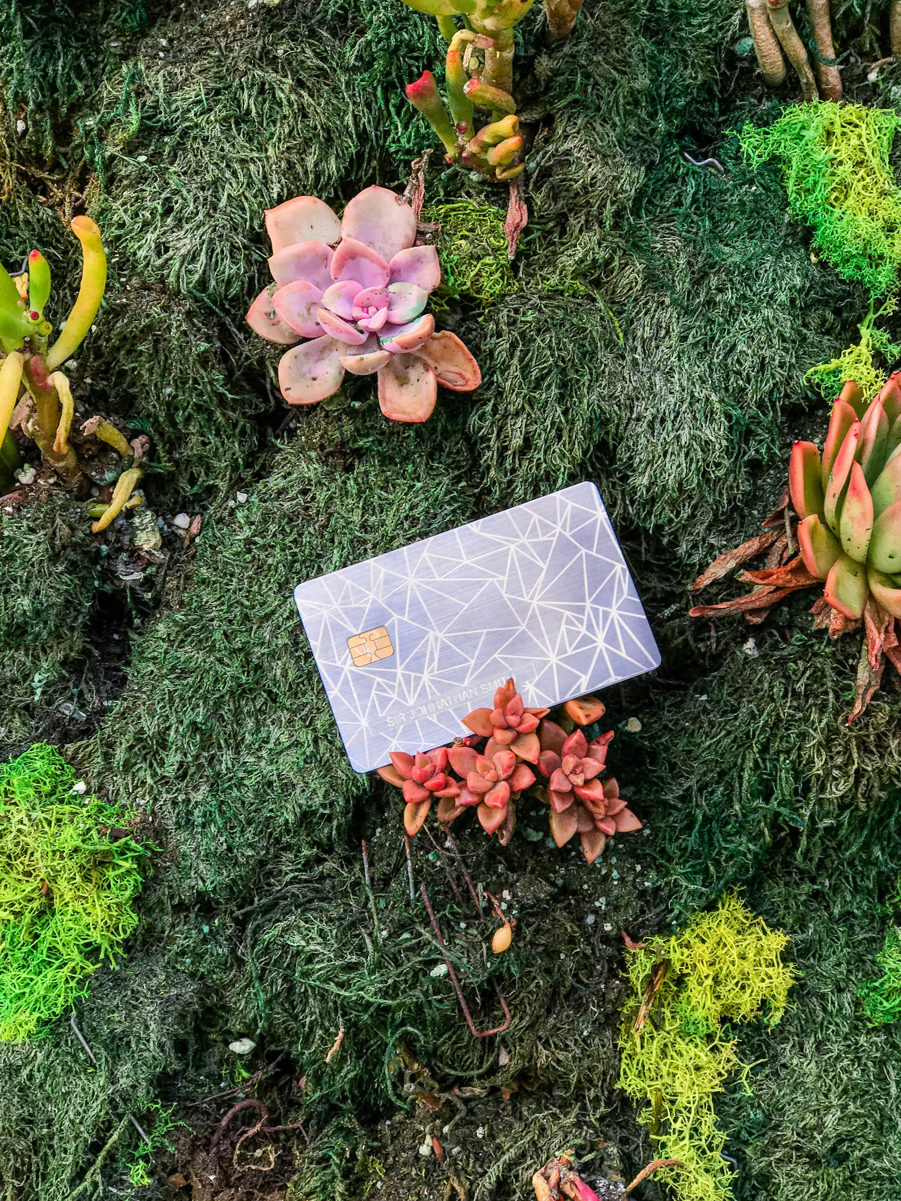 DreamCard gallery image