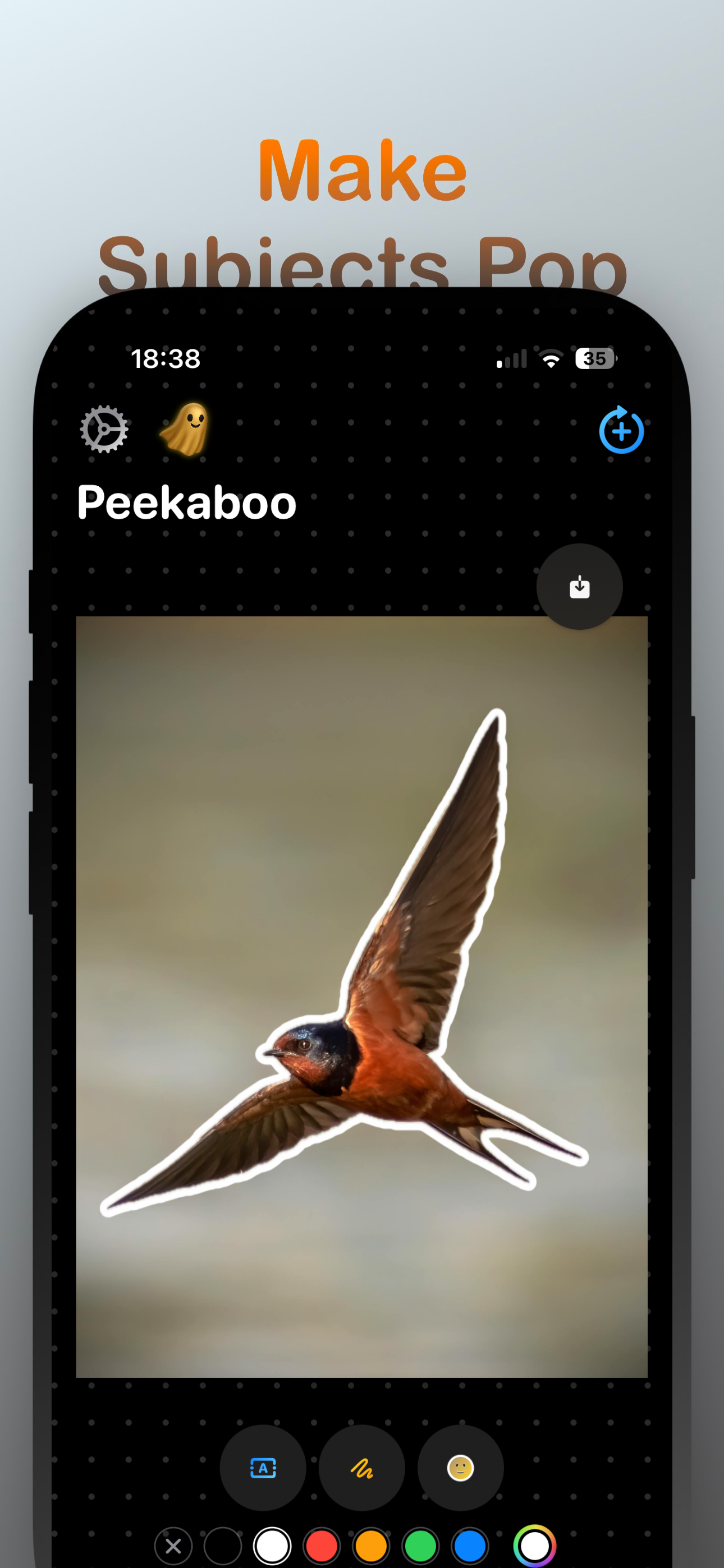 Peekaboo. gallery image