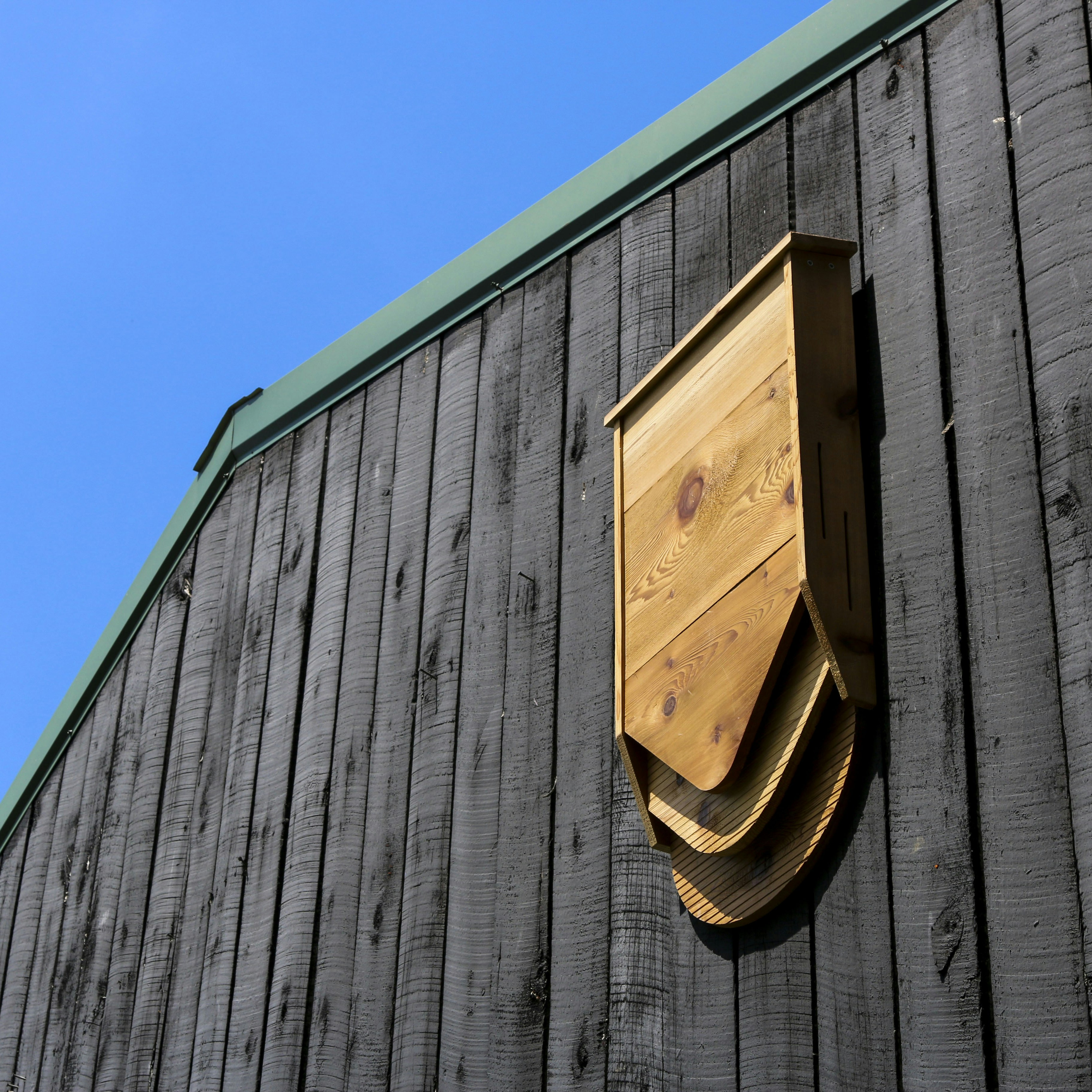 BatBnB gallery image