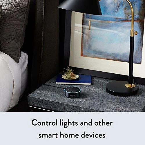 Echo Dot (2nd Generation) Image