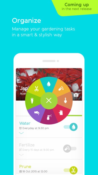 Gardenia gallery image