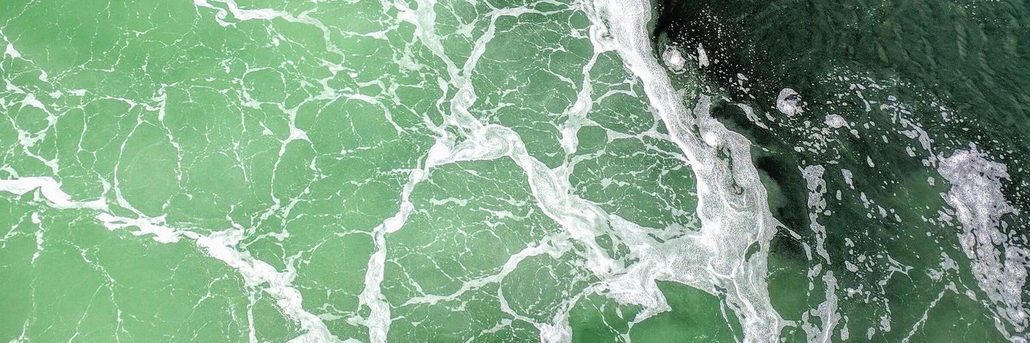 Graham Macphee cover