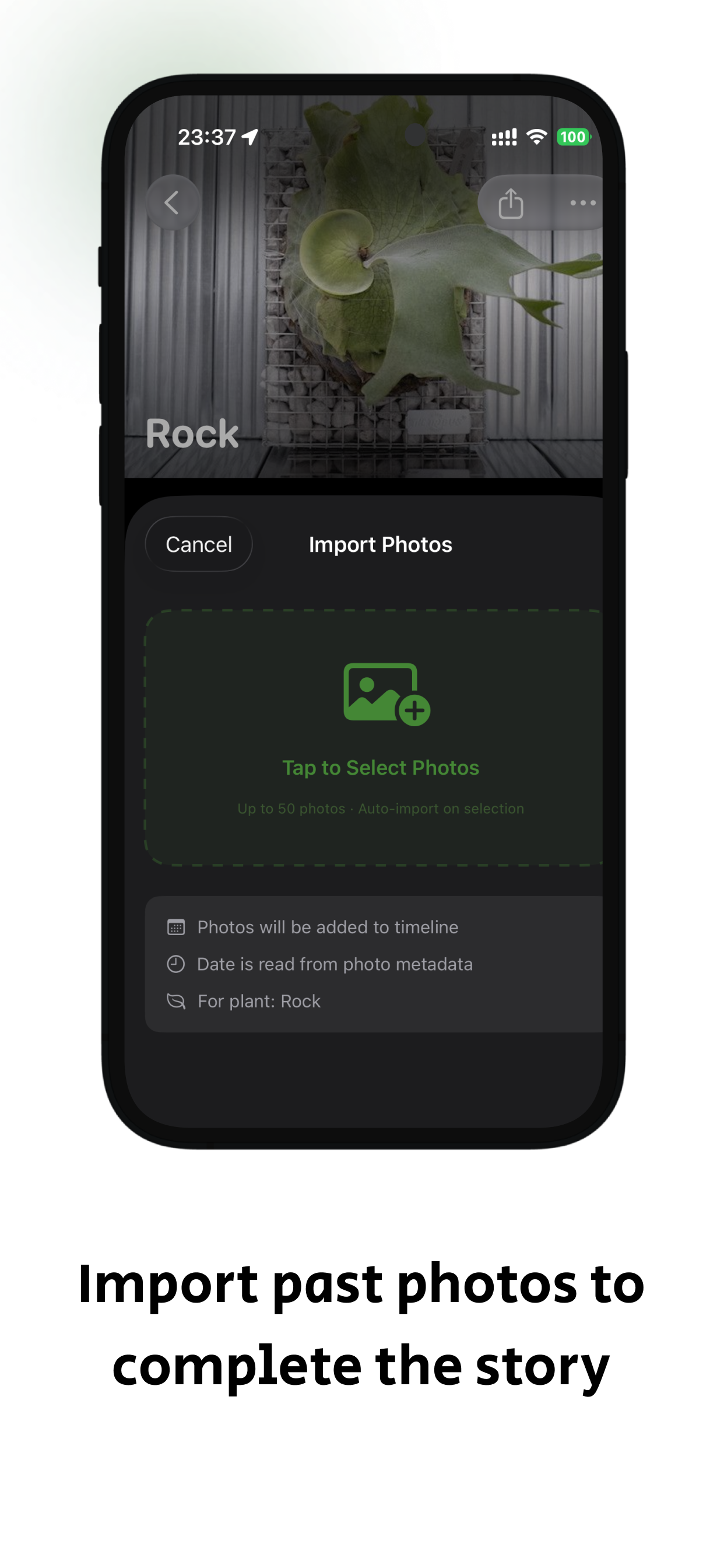 StaghornPal gallery image