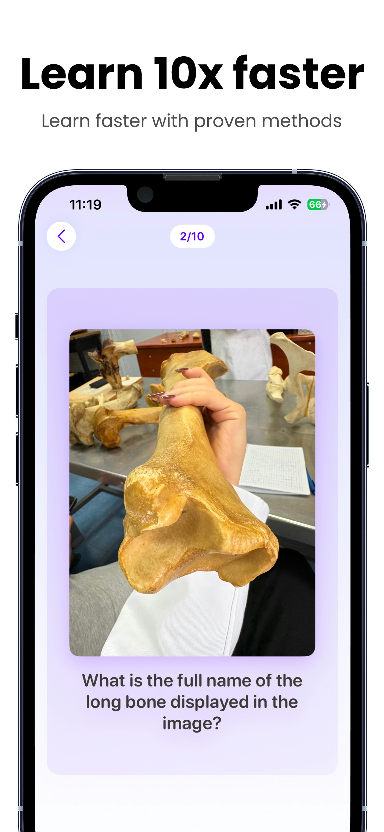 Stufy - AI Flashcards gallery image