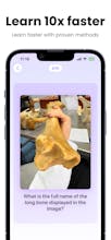 Stufy - AI Flashcards gallery image