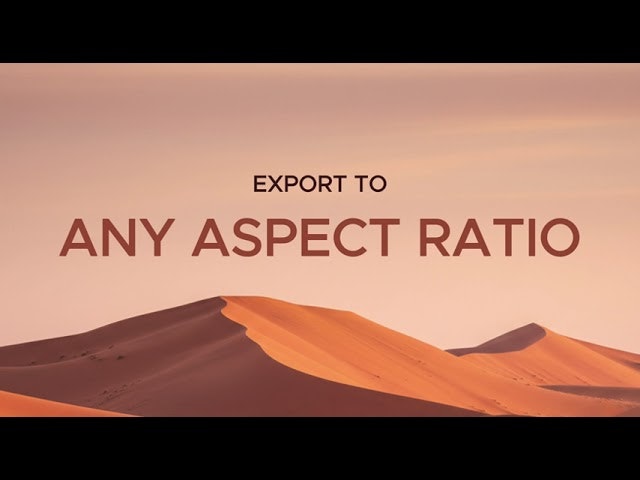 DemoStudio gallery image