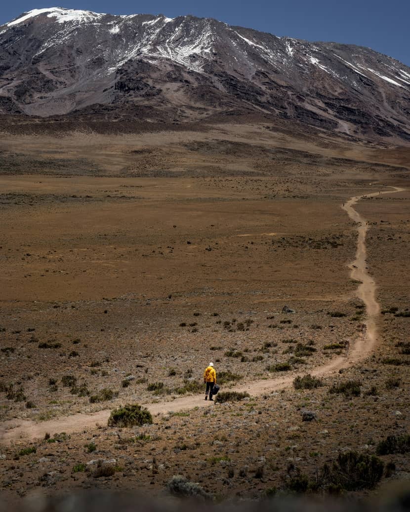 Africantrust Safari media 154