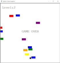 TurtleDash gallery image