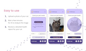 CatsMe.app gallery image