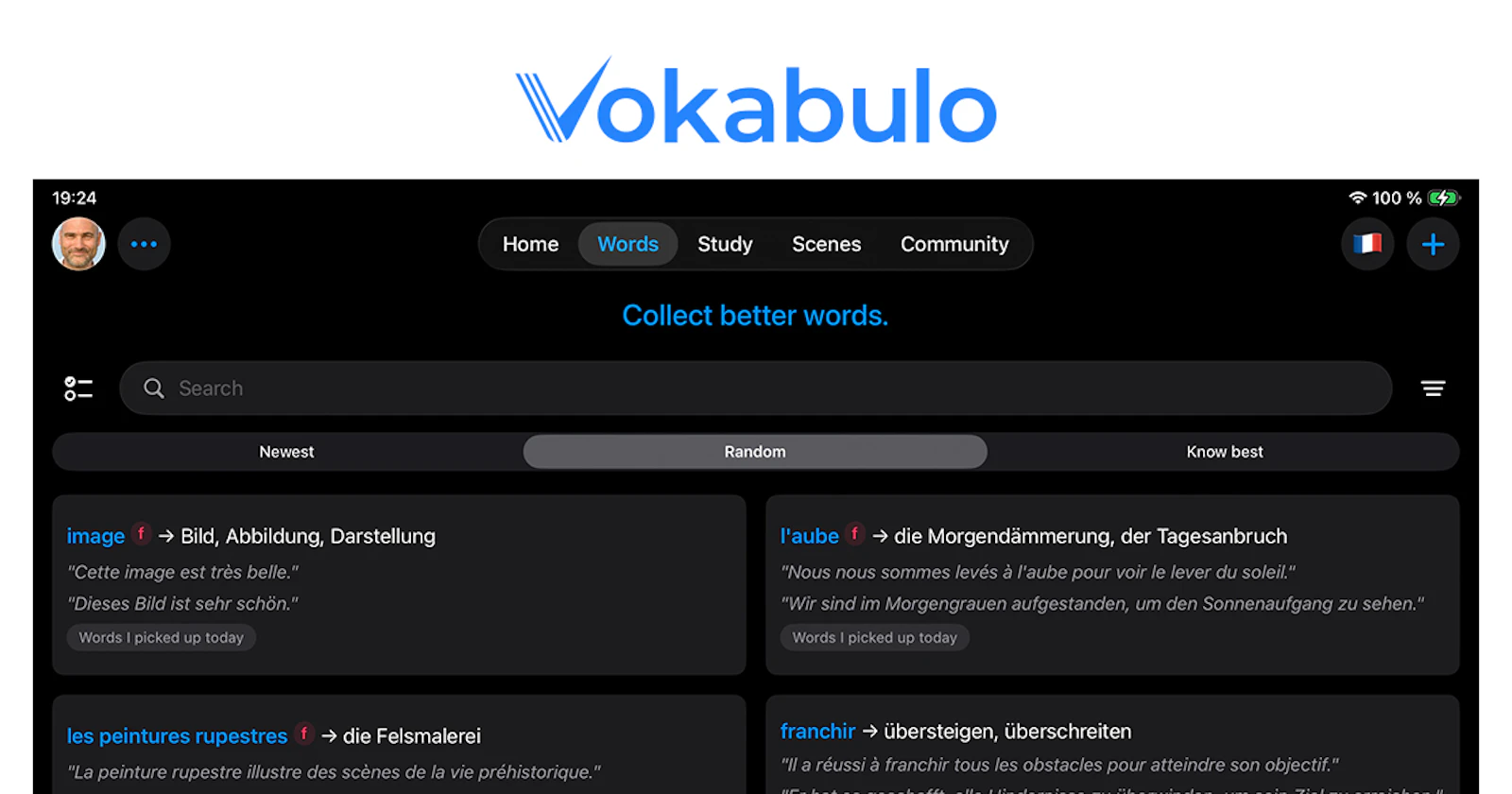 Vokabulo screenshot 4