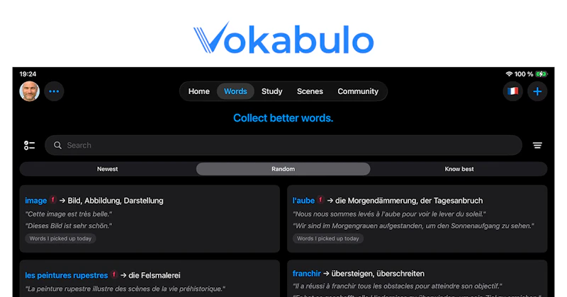 Vokabulo screenshot 4