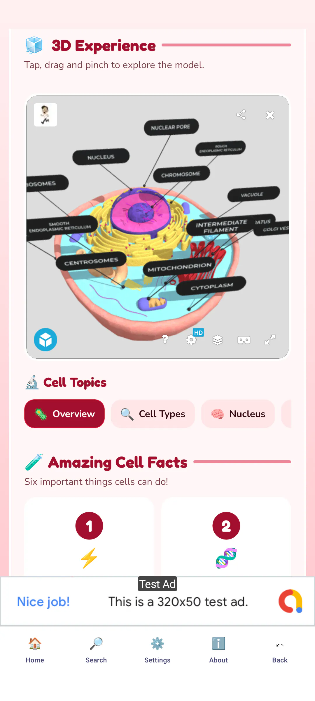 Learnova gallery image