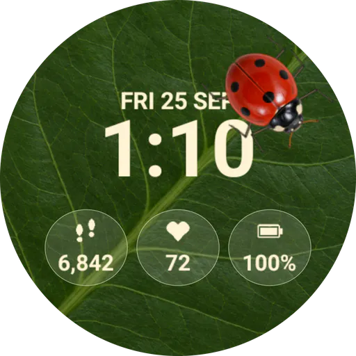 Ladybug Animated Wear OS Watch Face