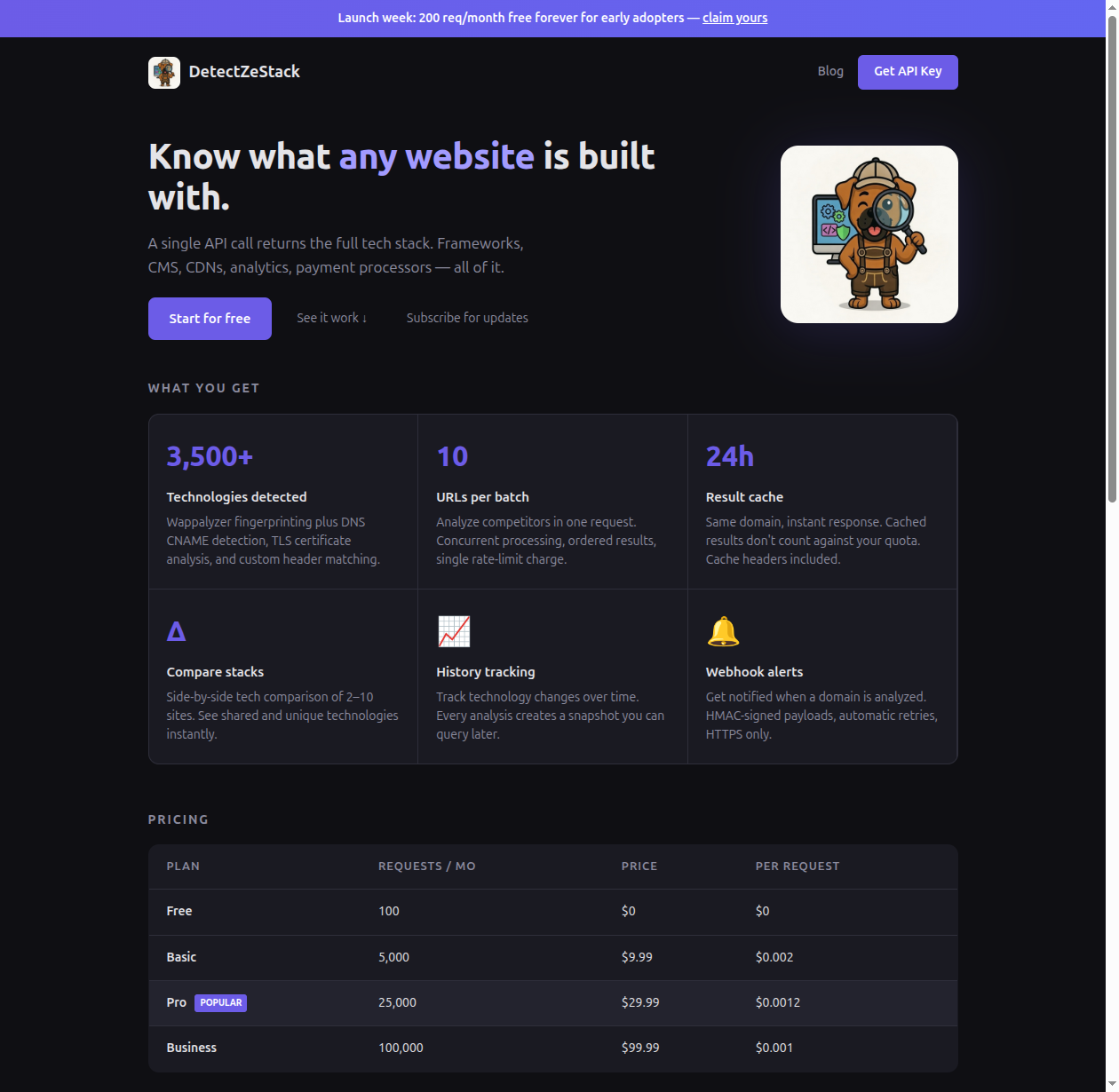 DetectZeStack — Tech Stack Detection API gallery image