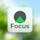 Focus Flow
