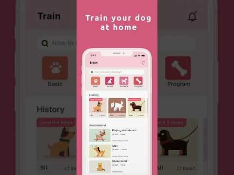 Traini gallery image