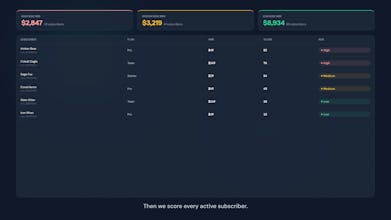 ChurnHalt: churn intelligence for Stripe gallery image