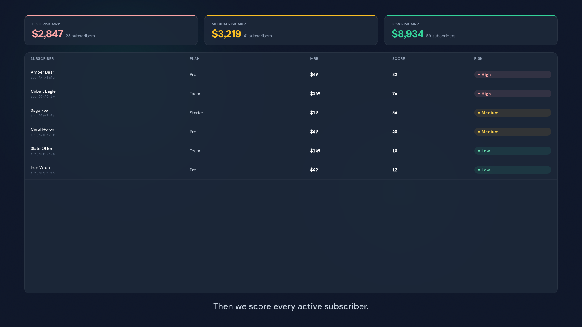 ChurnHalt: churn intelligence for Stripe - Screenshot 3 showing product features and functionality
