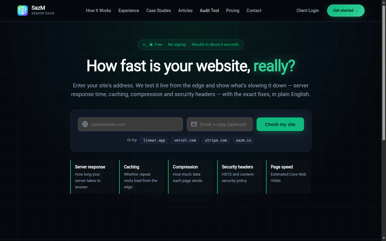 SazM Website Speed Audit gallery image