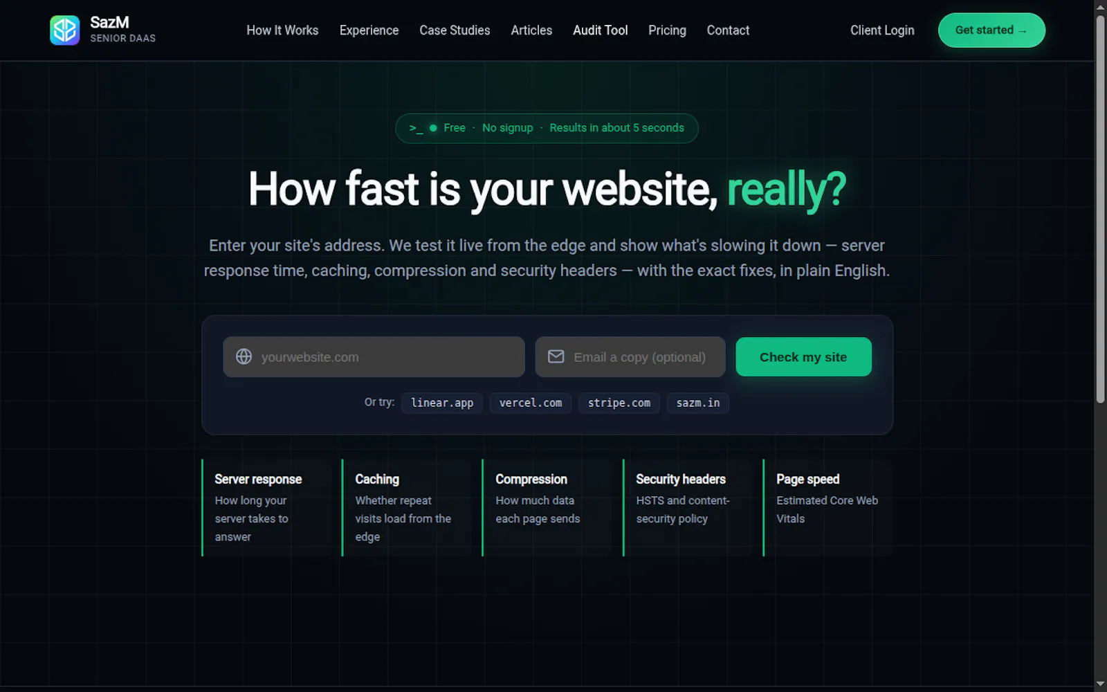 SazM Website Speed Audit screenshot 3