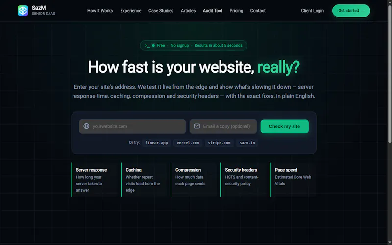 SazM Website Speed Audit screenshot 3