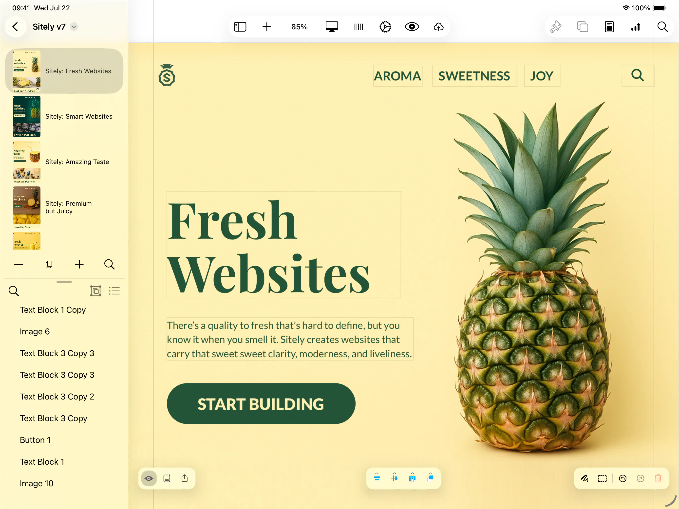 Sitely iPad AI+Visual Website Builder gallery image