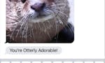 Send Otter Love image