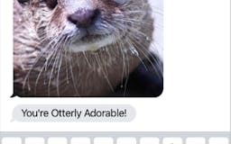Send Otter Love media 1