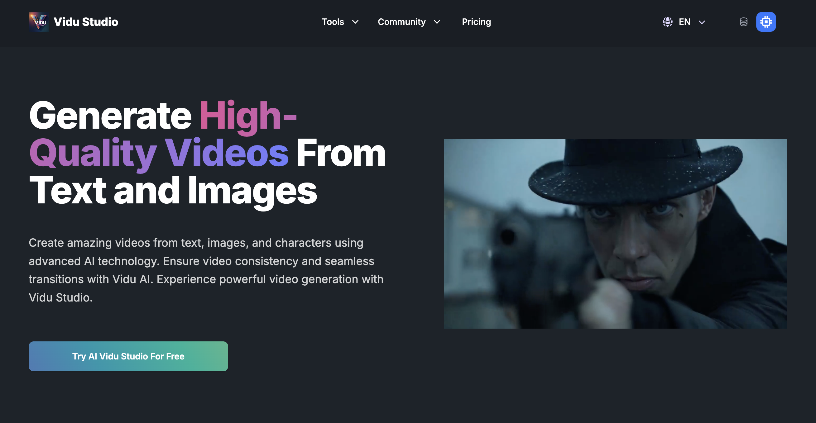 Vidu Studio gallery image